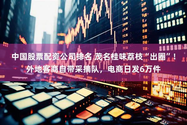 中国股票配资公司排名 茂名桂味荔枝“出圈”！外地客商自带采摘队，电商日发6万件